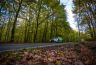 _DSC6594.jpg