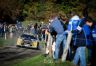 DSC_6452.jpg