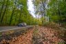 _DSC6603.jpg