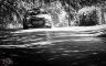 DSC_3726.jpg